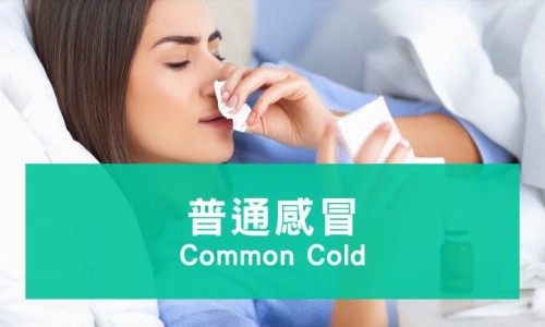 哺乳期感冒鼻子不通气喉咙哑了能喂奶吗专区_哺乳期感冒鼻塞吃什么药专区_哺乳期感冒鼻子不通气喉咙哑了网