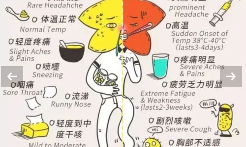 感冒期间能喝中药吗